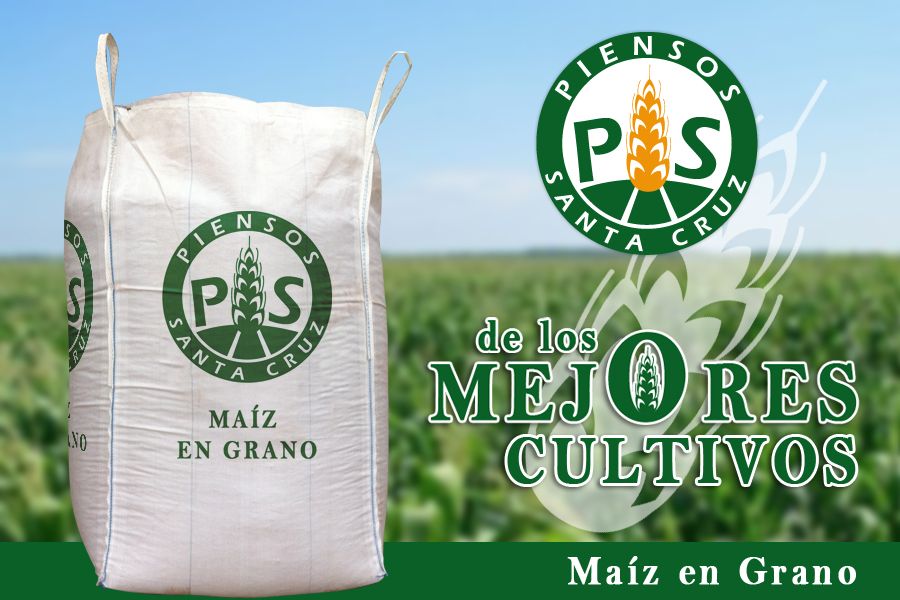 Maíz en Grano