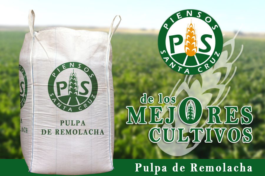 Pulpa de Remolacha